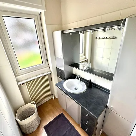 Appartement Le Rapp Colmar